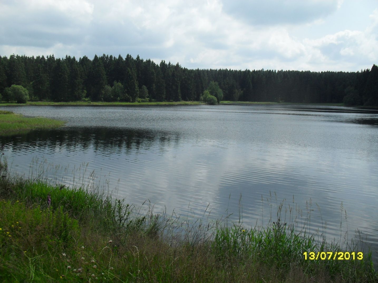 Kiefernhlzer Teich
