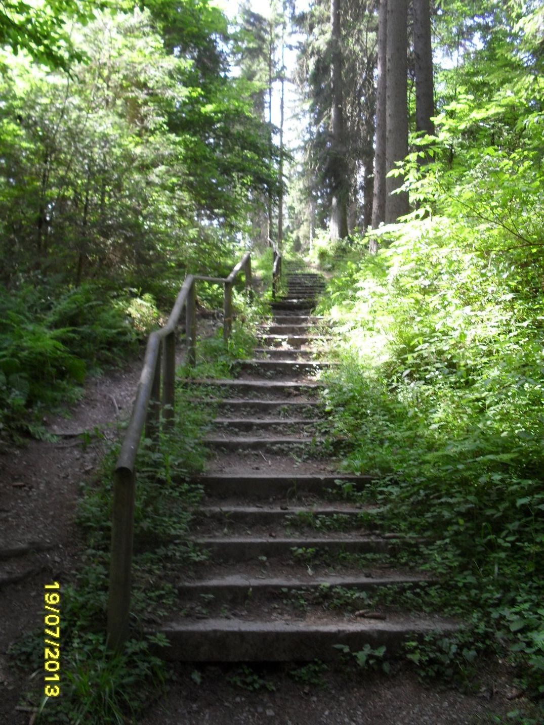 Treppe Oderteich